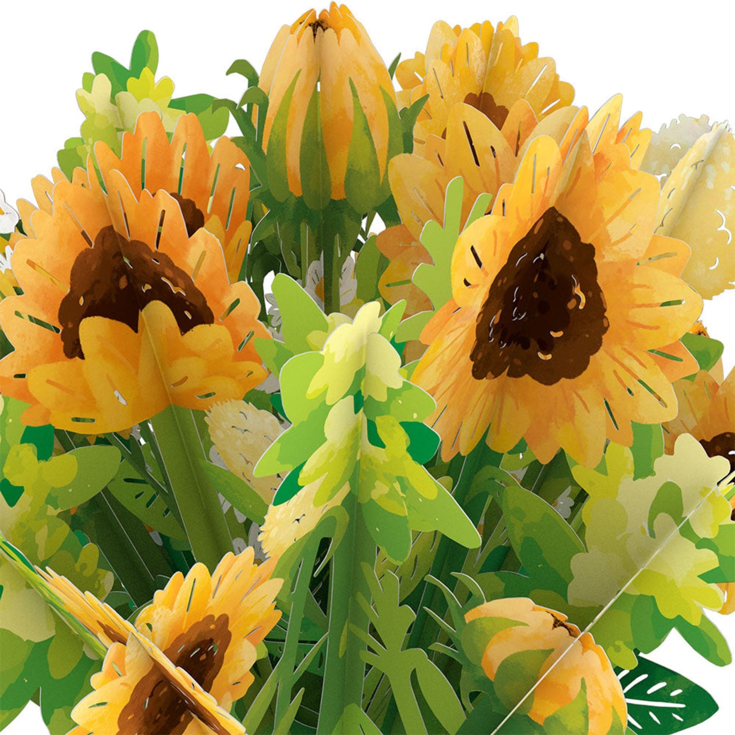 Mother’s Day Hummingbird Sunflower Bundle