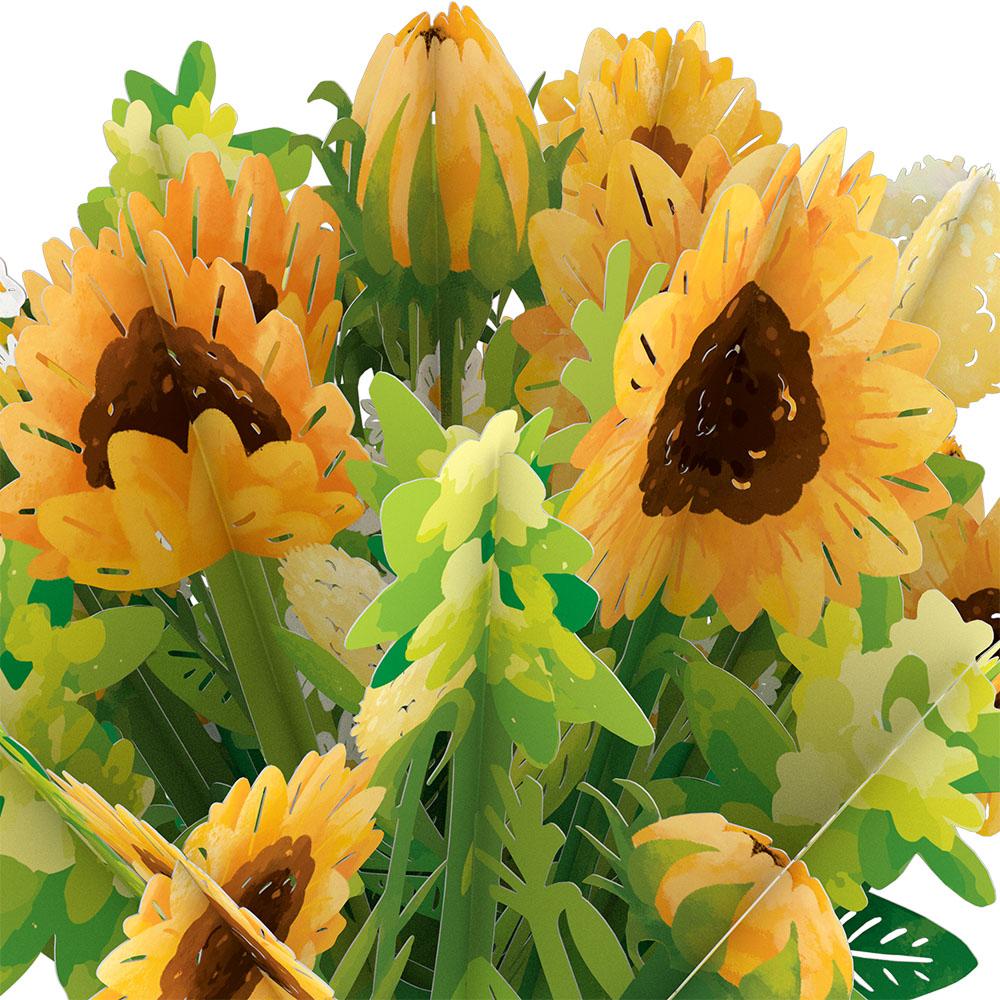 Sunflower Blooms Bundle