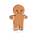 Gingerbread House Kit