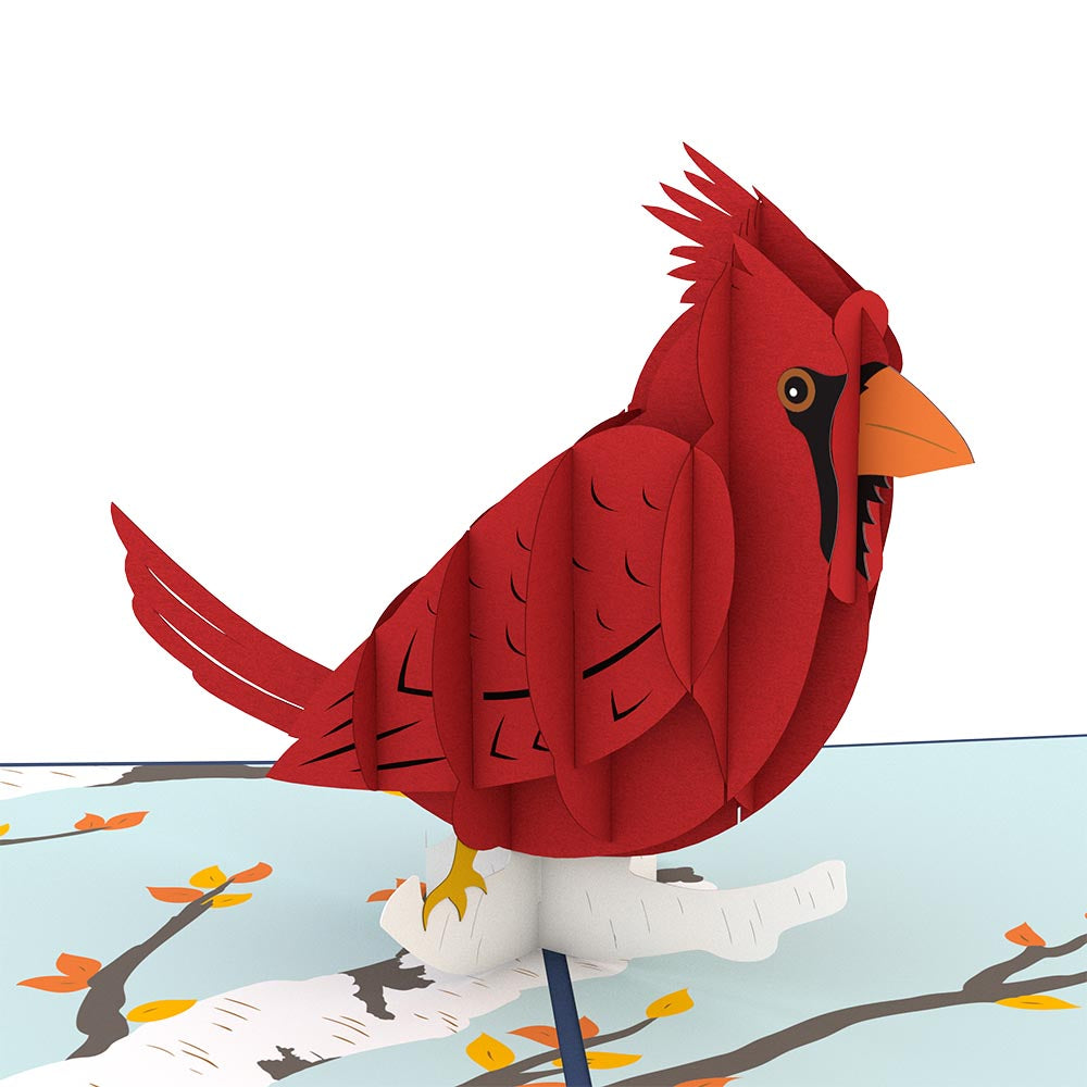 Cardinal Pop up Card