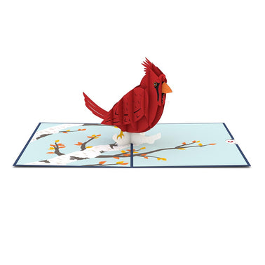 Cardinal Pop up Card