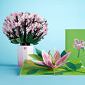 Cherry Blossom & Lily Bloom Bundle