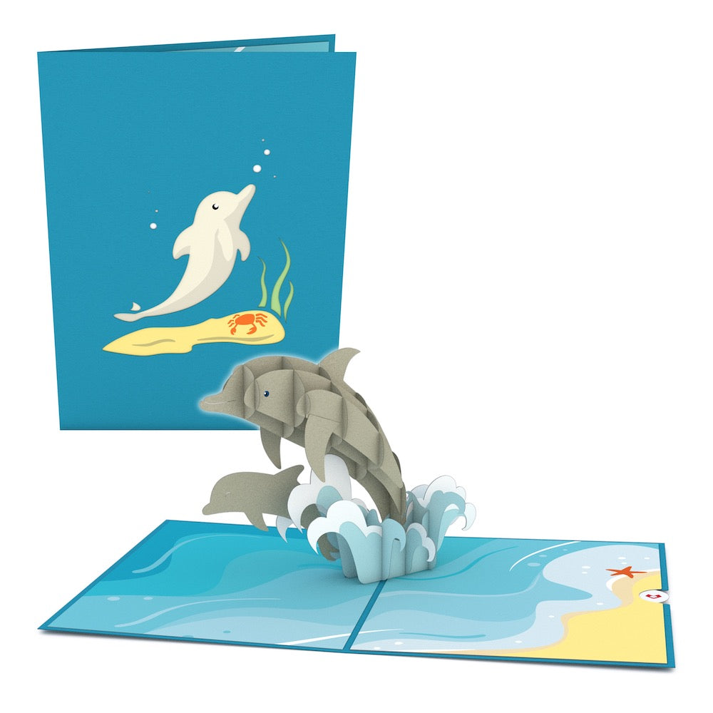 Dolphins Pop-Up Card