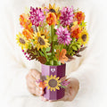 Sunflower Bundle