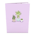 Greenhouse Plant Bundle