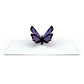 Butterfly Notecards (Assorted 4-Pack)