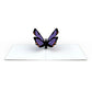 Butterfly Notecards (Assorted 4-Pack)