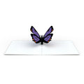 Butterfly Notecards (Assorted 4-Pack)