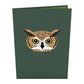 Horned Owl Pop up Card