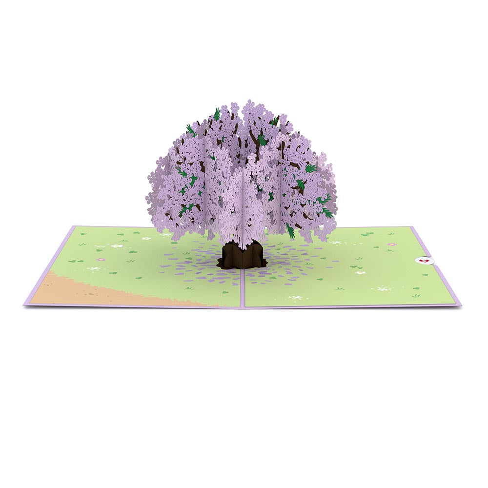 Trees of the Seasons 4-Pack