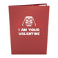 Star Wars Darth Vader™ Valentine Bundle