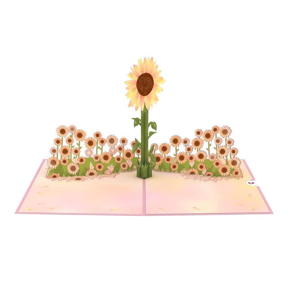 Sunflower Bundle