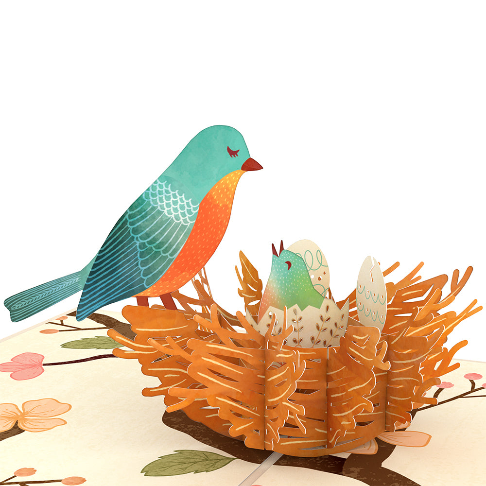 Birds Nest Pop-Up Card