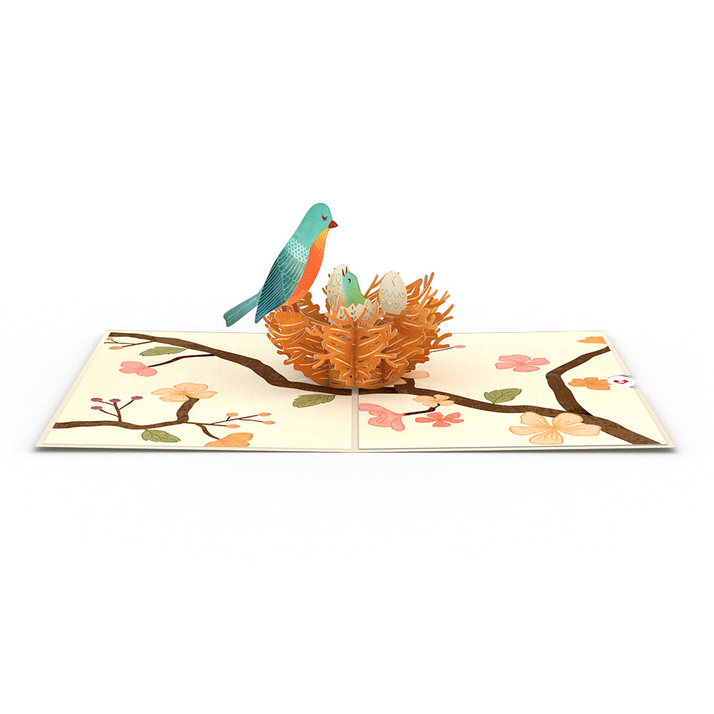 Birds Nest Pop-Up Card