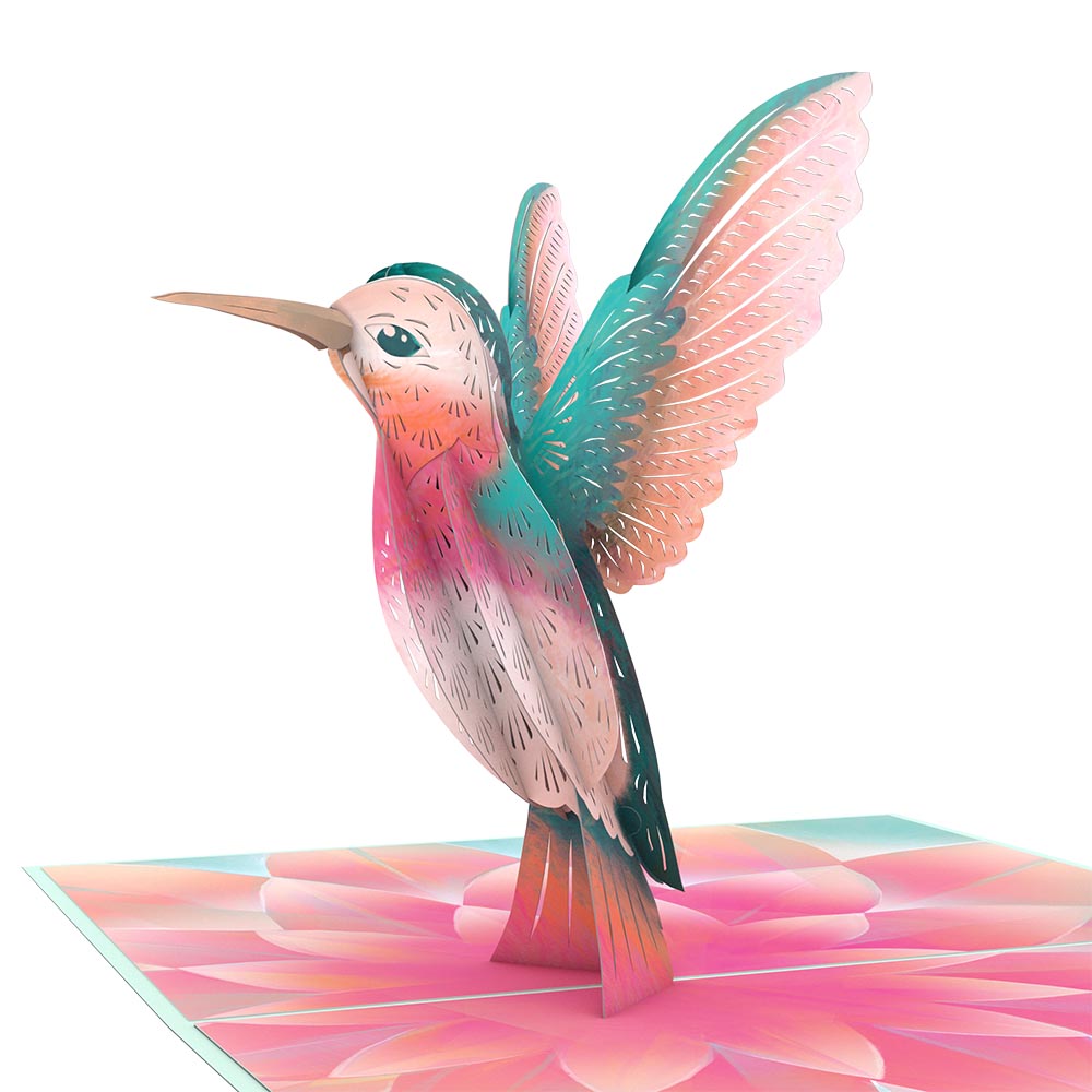 Hummingbird Foraging Pink Flowers Adults Paint by Numbers Kit Free