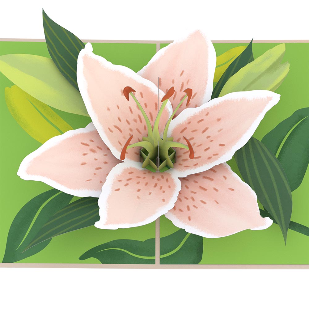 Mother's Day Lily Bloom Pop-Up Card