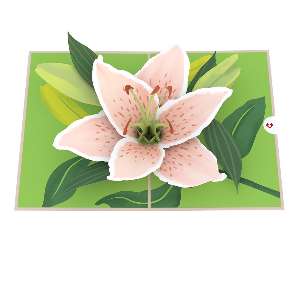 Mother's Day Lily Bloom Pop-Up Card