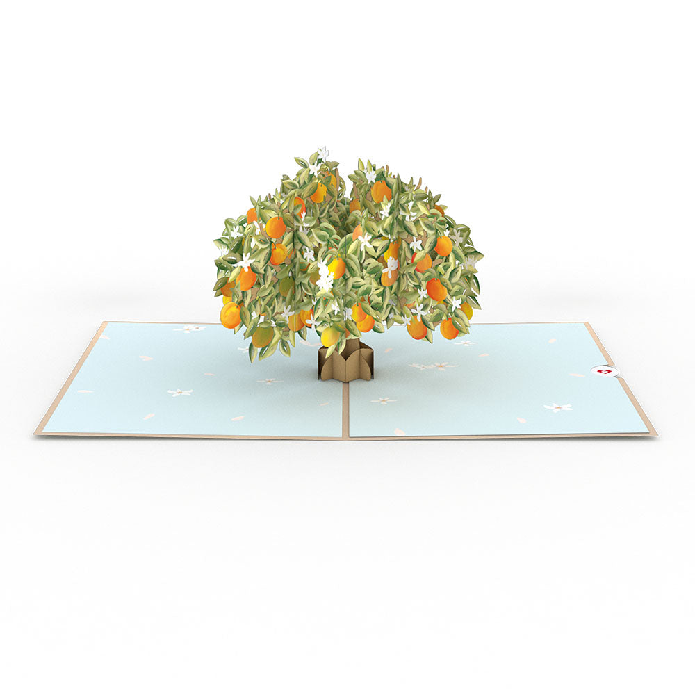 Orange Blossom Tree Pop-Up Card