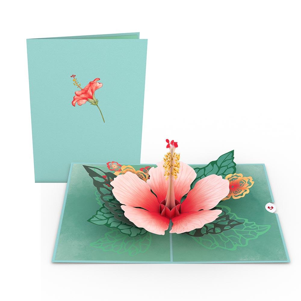 Hibiscus Bloom Pop-Up Card