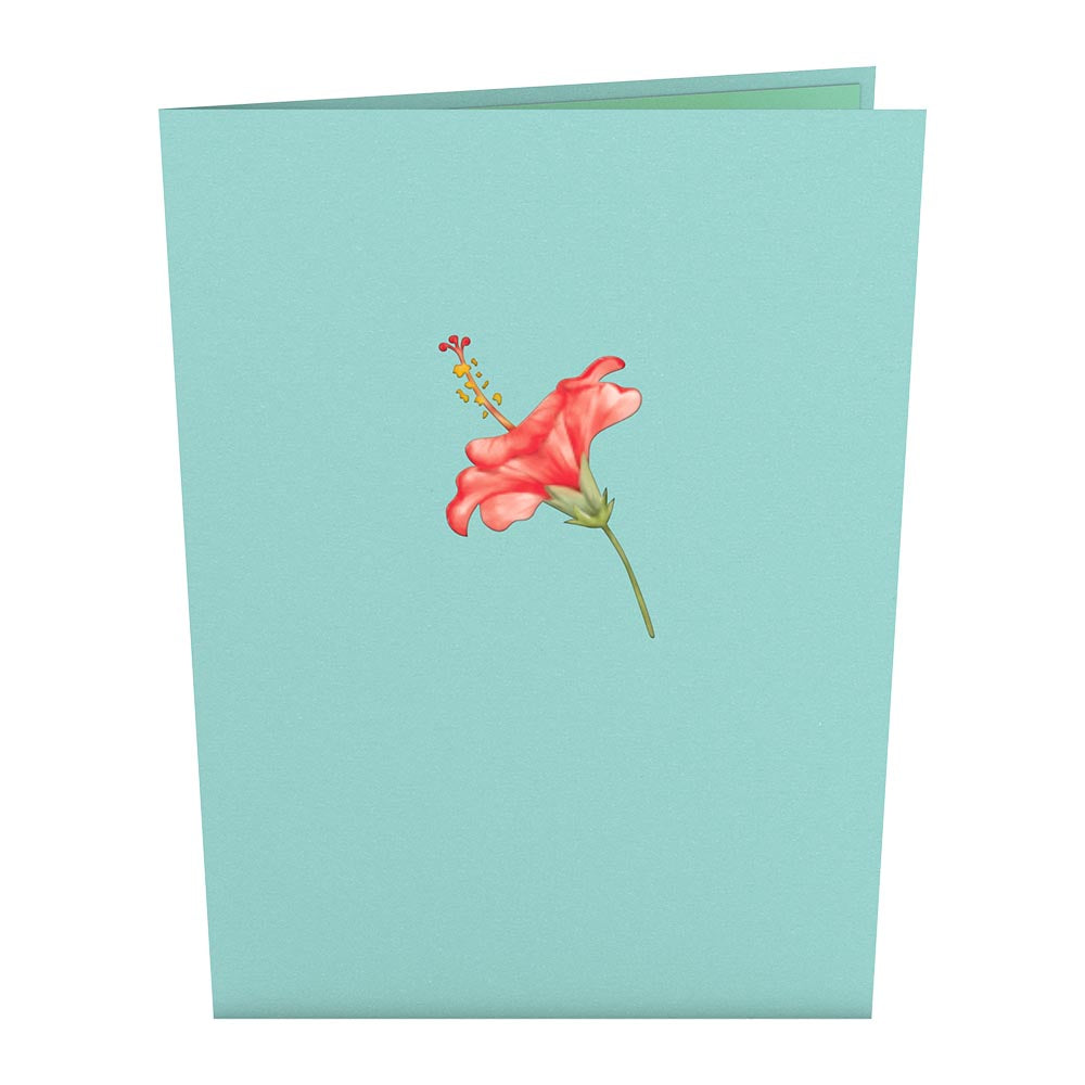 Hibiscus Bloom Pop-Up Card