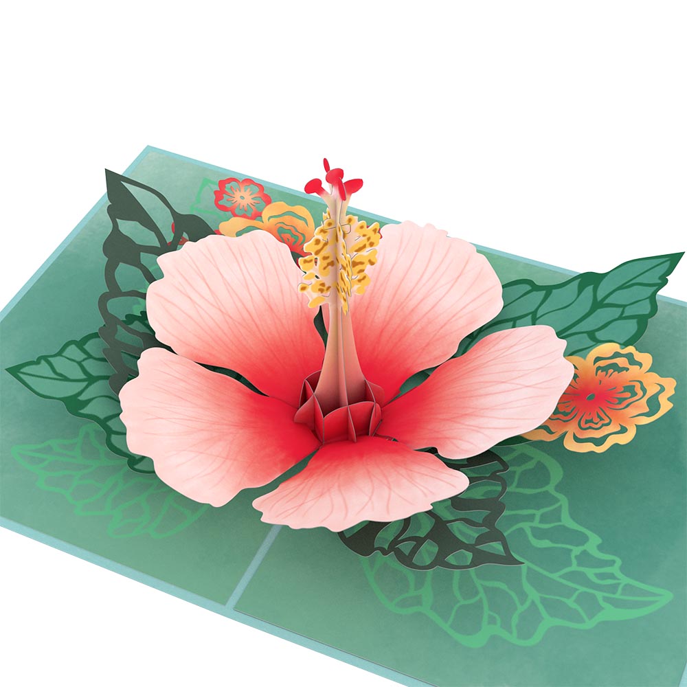 Hibiscus Bloom Pop-Up Card
