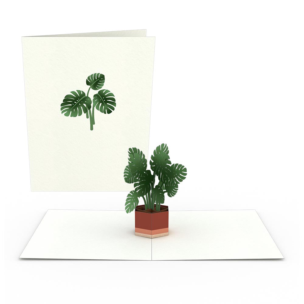 Plants Notecards (Assorted 4-Pack)