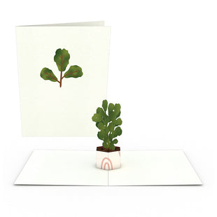 Plants Notecards (Assorted 4-Pack)