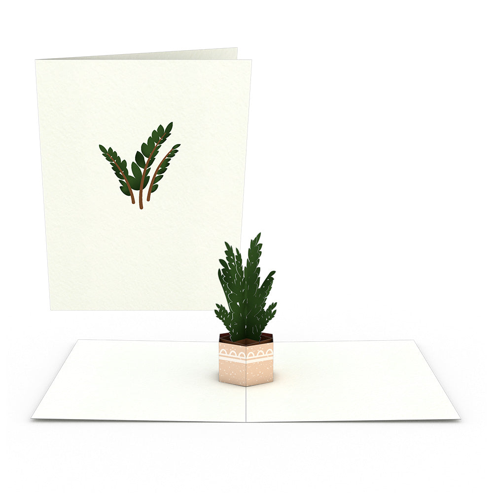 Plants Notecards (Assorted 4-Pack)