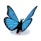 Stickerpop™: Blue Morpho Butterfly (5-Pack)