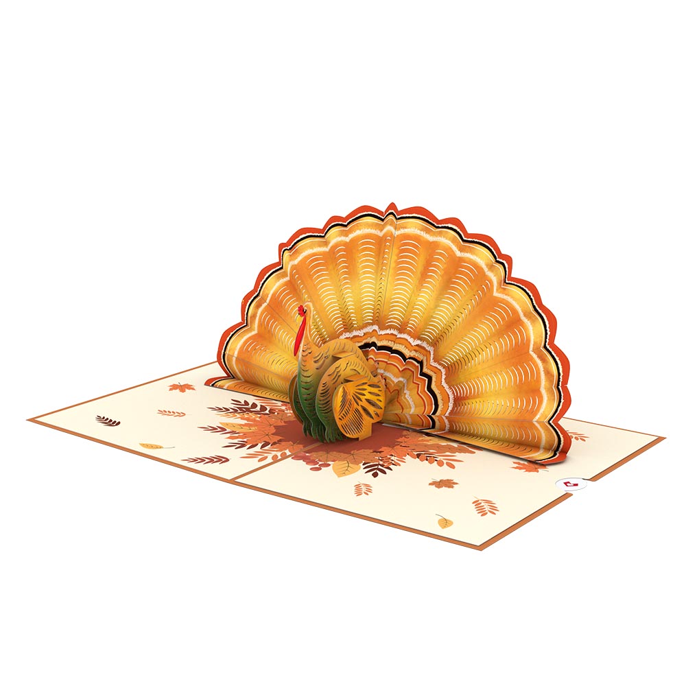 Thanksgiving Wreath & Turkey Bundle