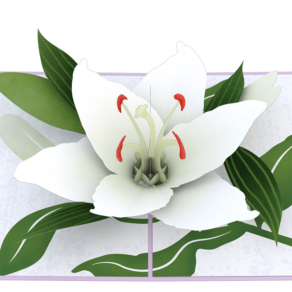 Sympathy Lily Pop-Up Card