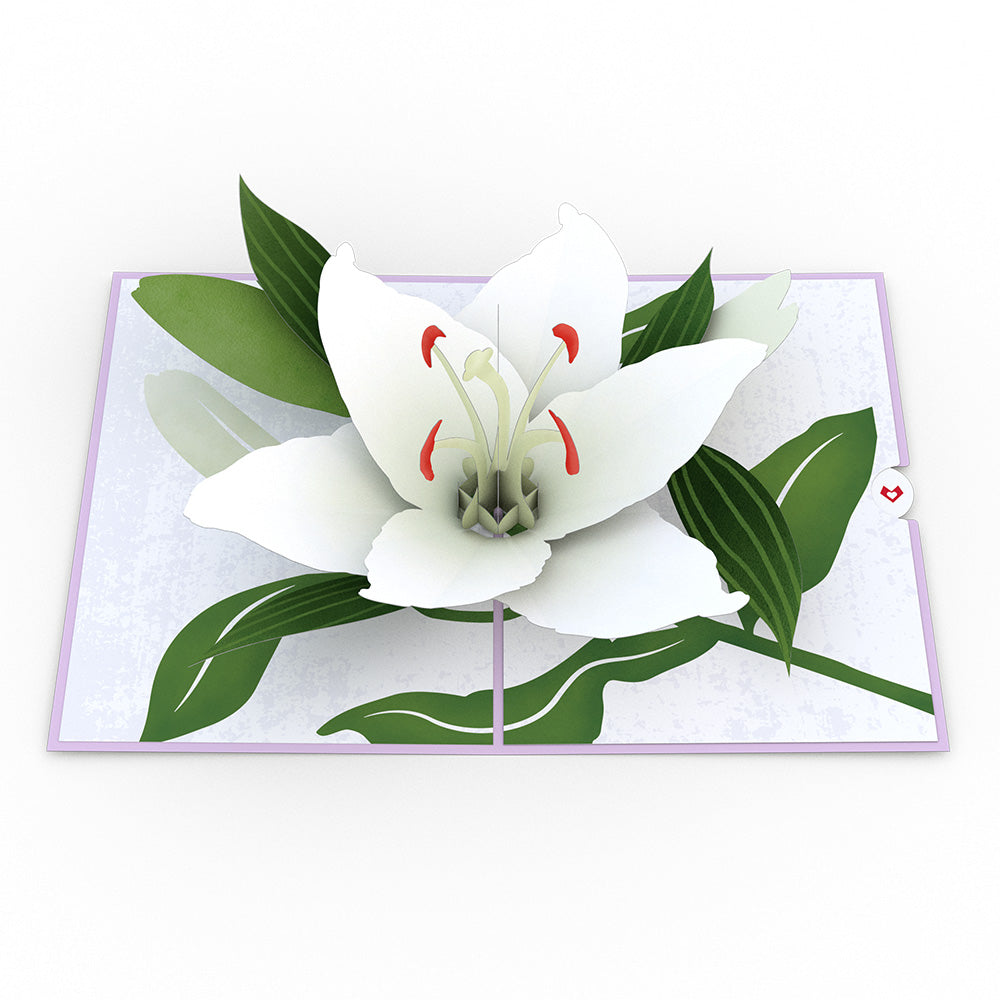 Sympathy Lily Pop-Up Card