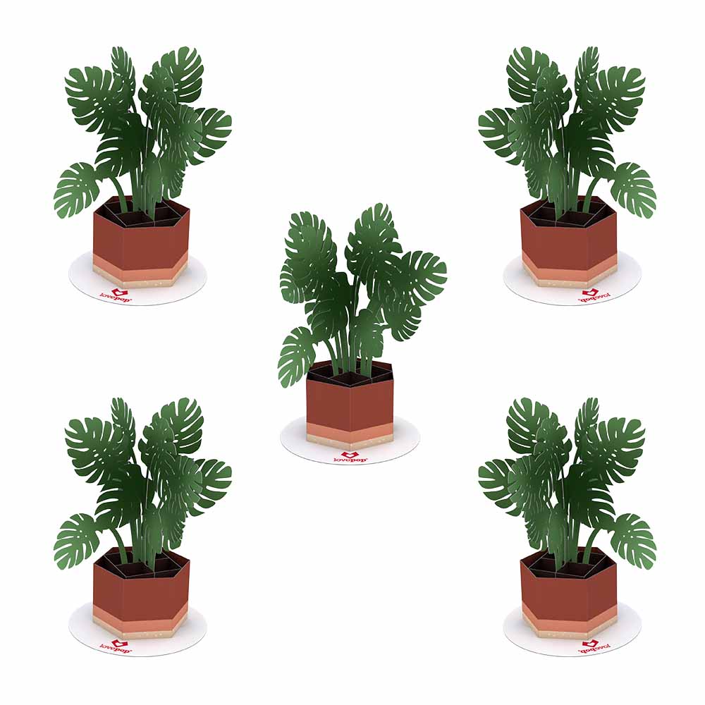 Stickerpop™: Monstera (5-Pack)