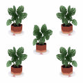 Stickerpop™: Monstera (5-Pack)