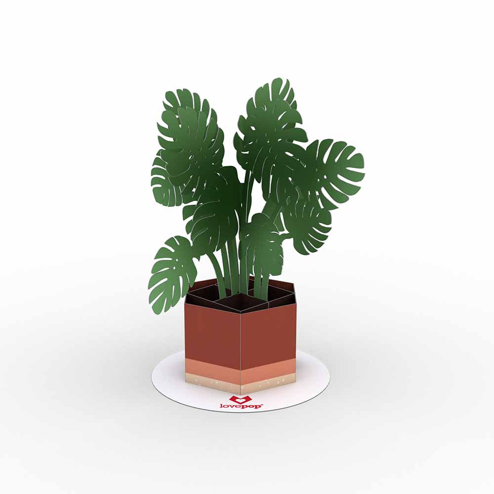 Stickerpop™: Monstera (1-Pack)