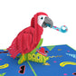 Party Parrot Pop-Up Card