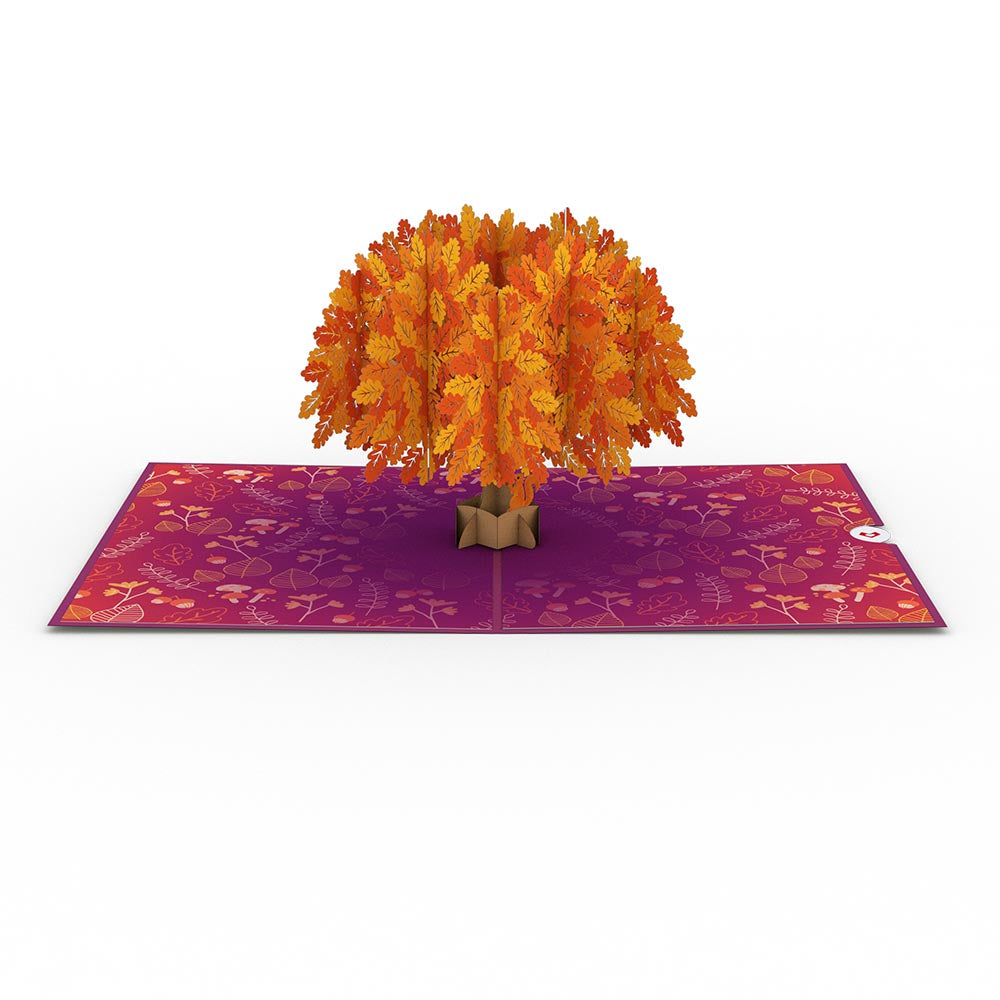 Trees of the Seasons 4-Pack