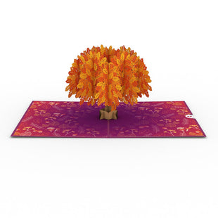 Oak Tree Pop-Up Card greeting card -  Lovepop