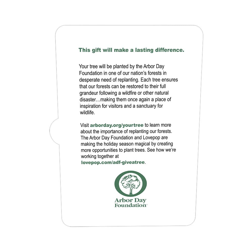 Arbor Day Foundation Holiday Tree Pop-Up Card