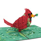 Happy Holidays Cardinal Pop-Up Card