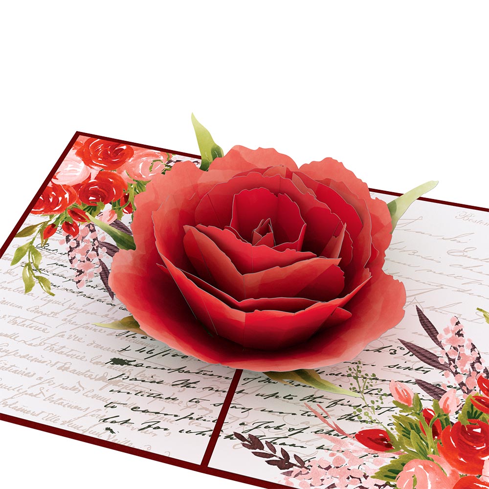 Love Rose Bloom Pop-Up Card