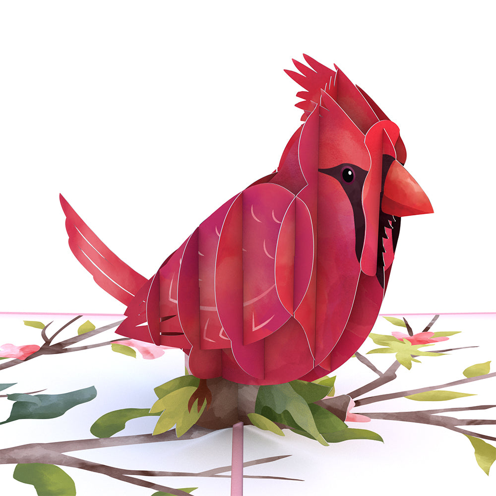 Mother's Day Cardinal Pop-Up Card