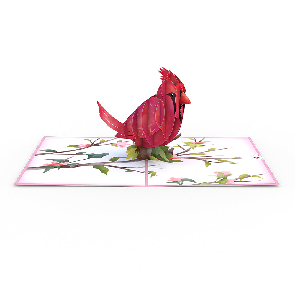 Mother's Day Cardinal Pop-Up Card