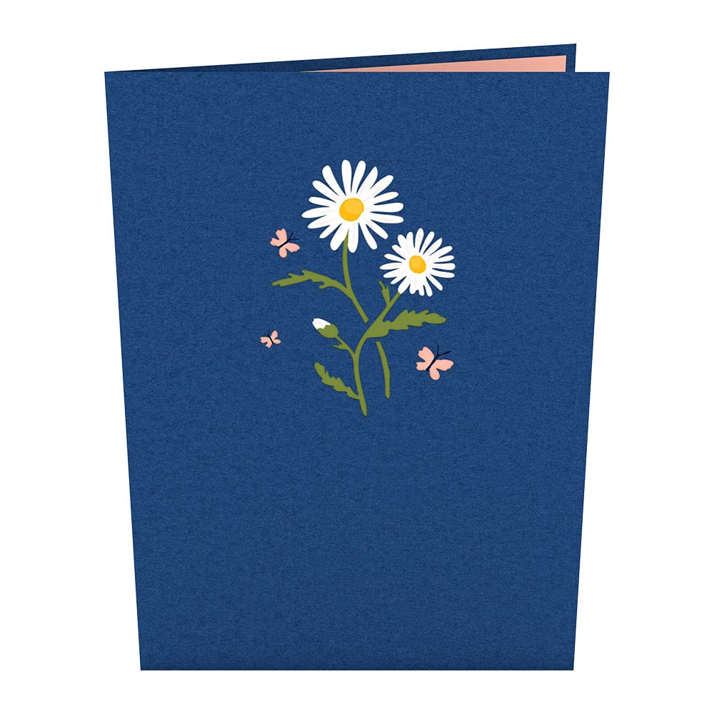 Daisies with Blue Morpho Butterfly Pop-Up Card