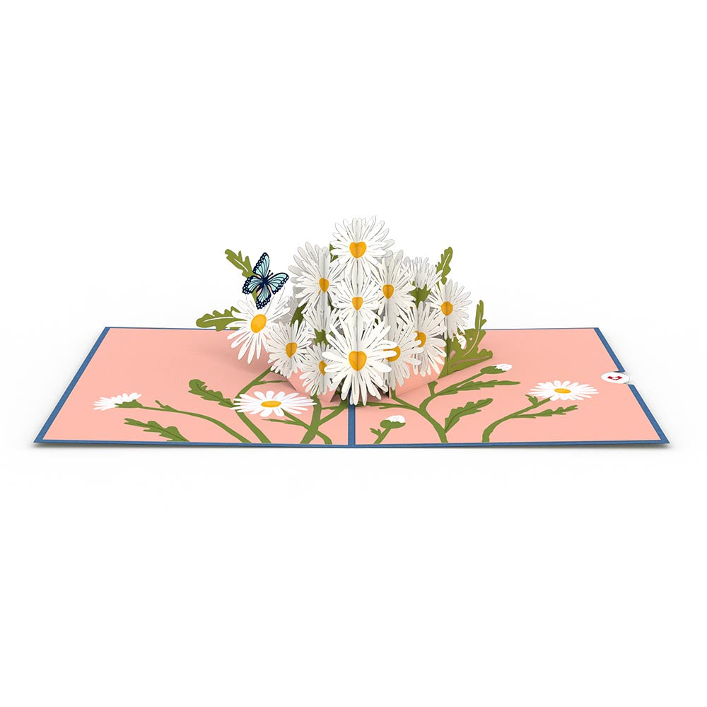 Daisies with Blue Morpho Butterfly Pop-Up Card