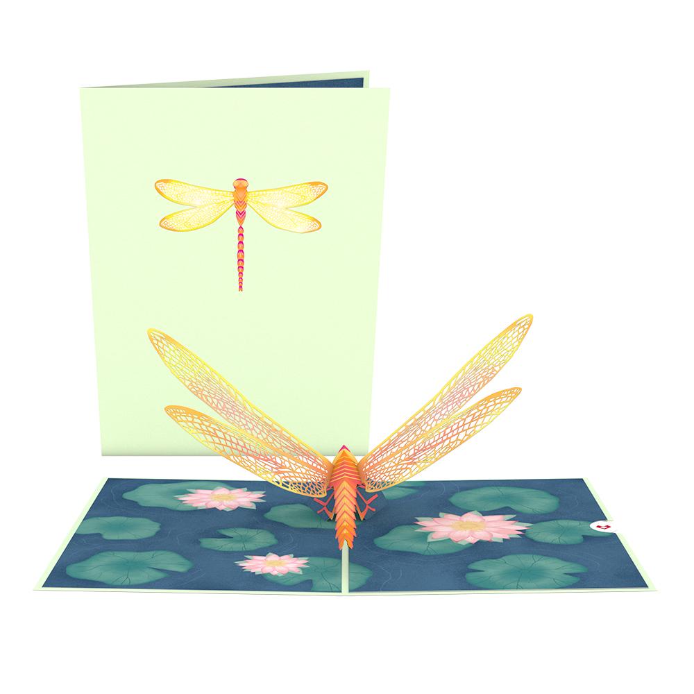 Lotus & Dragonfly Bundle