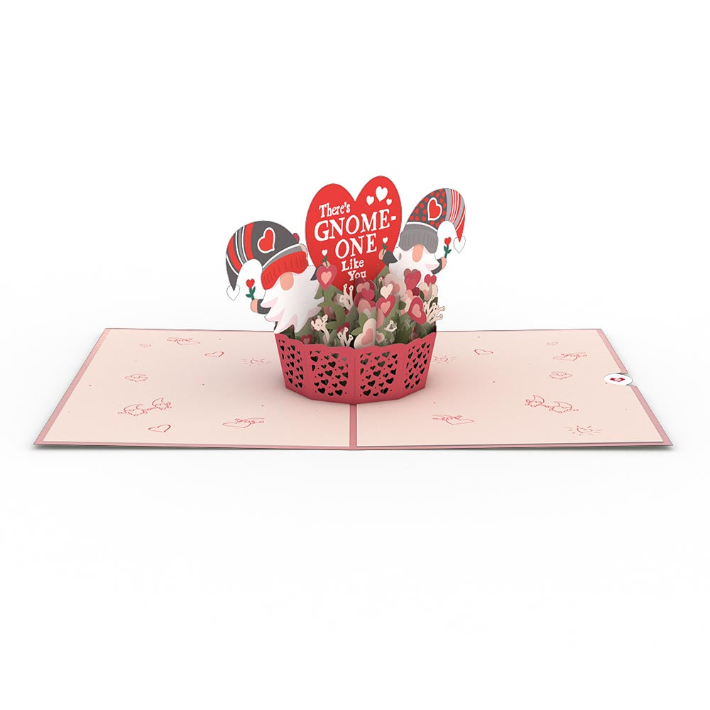 There's Gnome-One Like You Pop-Up Card