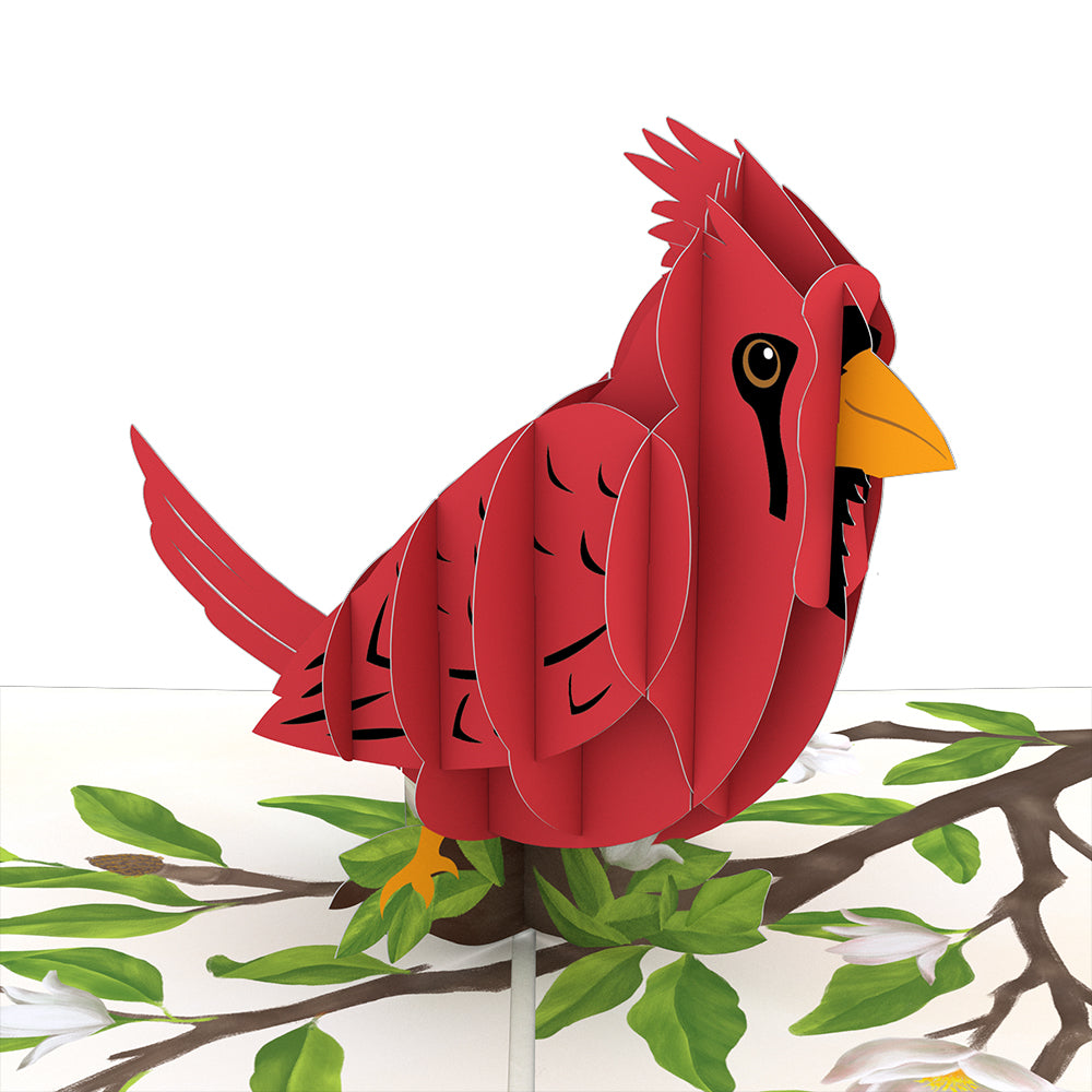 Radiant Cardinal Pop-Up Card