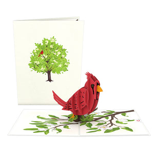 Radiant Cardinal Pop-Up Card