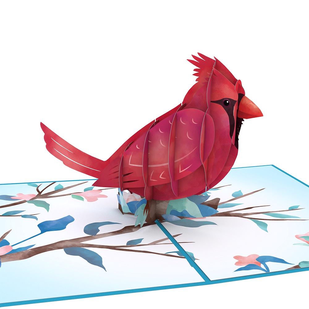 Love Cardinal Pop-Up Card